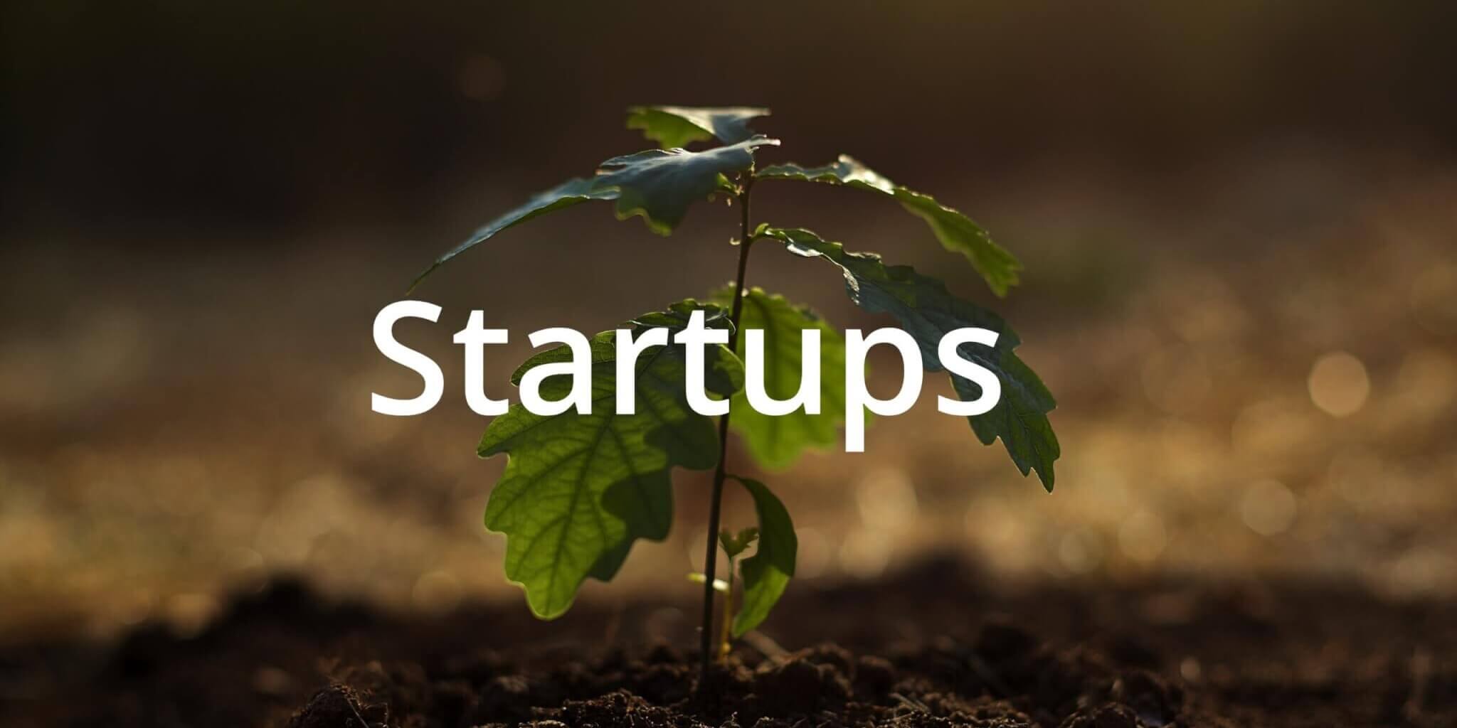 startups v3